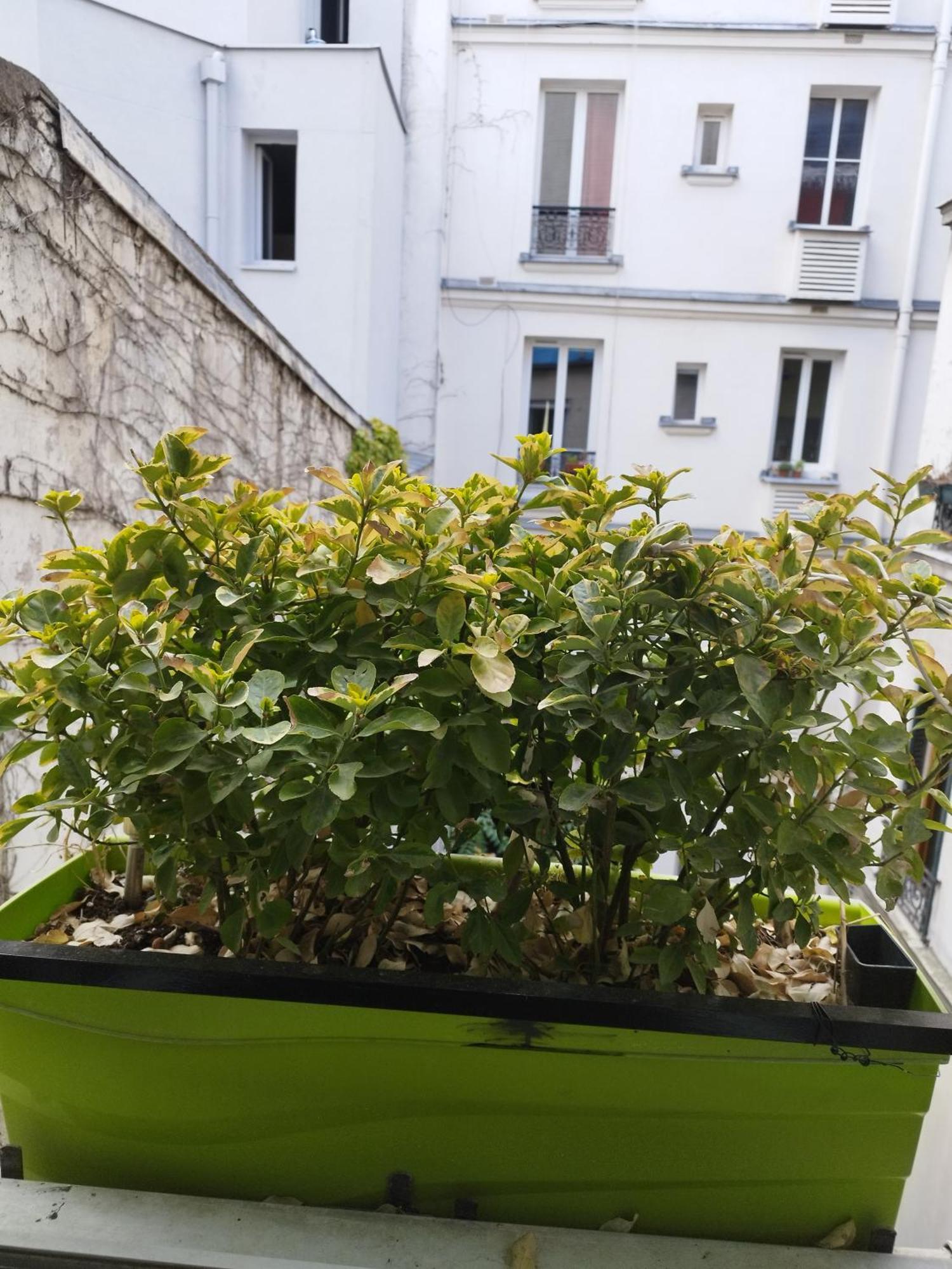 Apartament Petit Cocon Parisien ! Paris Centre - Gare Du Nord Pokój zdjęcie